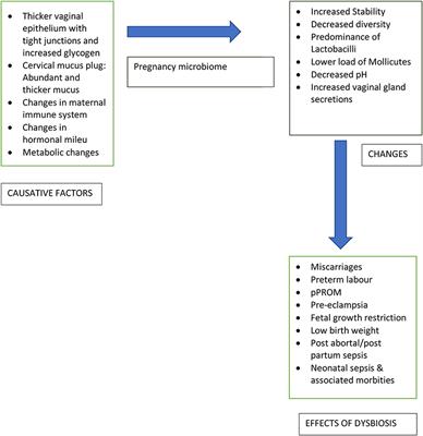 Genital Micro-Organisms in Pregnancy